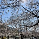 산솔 캠핑장 이미지