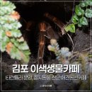 김포 애견동반카페 타란튤라 분양 절지동물 전문 쿠모 카페 앤 샵