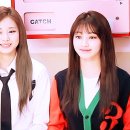 시그널그라피 이미지
