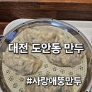 냠냠 | 대전 도안동 만두 전문점 사랑애뚱만두 다녀온 냠냠후기~