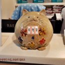 냥카페 묘연 이미지