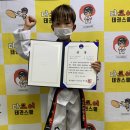 대도 세계로 태권도 이미지