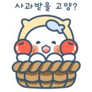 선우에스테틱 이미지