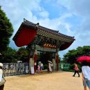 경주 여름 1박 2일