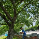 도사동 행정복지센터 이미지