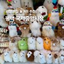 GS25 평택신장점 | 평택 국제중앙시장 주차 미국인 마을 맛집 놀거리 추천
