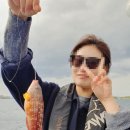 부영호 이미지