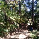 황윤길 묘 이미지