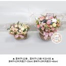 지소플라워 이미지