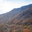 천상골가든 이미지