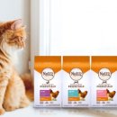 한국마즈(유) 이미지