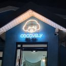 코코블리 애견운동장 이미지