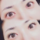 해빛 | 잠실 석촌호수 속눈썹 연장 뷰티해빛 후기, CC컬 첫 도전 화려한 눈매 완성