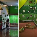 나비공원　 이미지