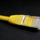 디자인물처럼 이미지