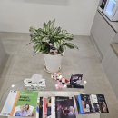 밝고 맑은 보청기 이미지