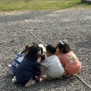 빵댕이넷 이미지