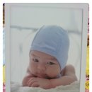 베이비스튜디오 리송