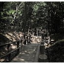 월미도 선착장 이미지