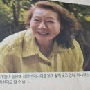 윤여정과 윤여순 이미지