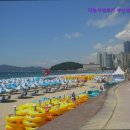 차놀자렌터카 이미지