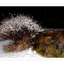 김미희농장 이미지