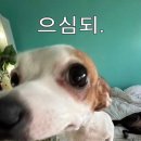 유스타치과기공소 | 여행을 다녀온 후에는