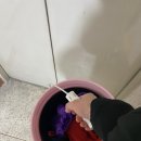 평촌유워시셀프세차장 이미지