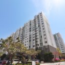 국화한신 이미지