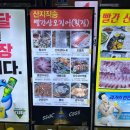 빨간산오징어 이미지