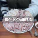 바다실비 이미지