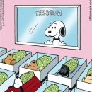 라렌느산후조리원 이미지