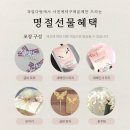 설다방 네이버블로그