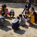 해안초교병설 이미지