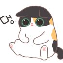 서진동물병원 이미지