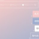로즈카카오 이미지