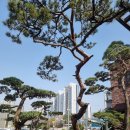 만남의광장휴게소 이미지