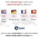인에너지 이미지