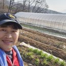 텃밭가꾸기 | 4월 텃밭 작물 심기 좋은 채소 주말농장 텃밭가꾸기 시작~