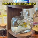 [평택원데이클래스] 파이토블라썸
