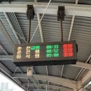 세이프로지스틱스 | 하남 쿠팡 캠프헬퍼 일용직 알바 후기(보안헬퍼), 일급, 하는 일, 신청하는 법, 날먹 알바