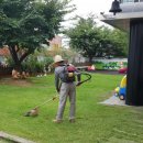 청록어린이집 이미지