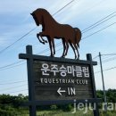 운주승마클럽 이미지