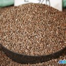 들깨나라 이미지