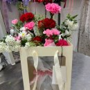 분당 판교 백현동 꽃집 추천 “쏘아올린 꽃” 내돈내산 후기