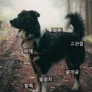 서초 이태형 동물병원 이미지