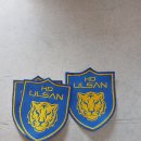 울산fc엠블럼 울산fc패치 울산fc와펜 이미지