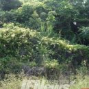 태흥1리 이미지