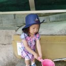 예튼어린이집 이미지