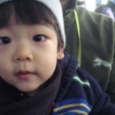 박영서 카카오 검색결과